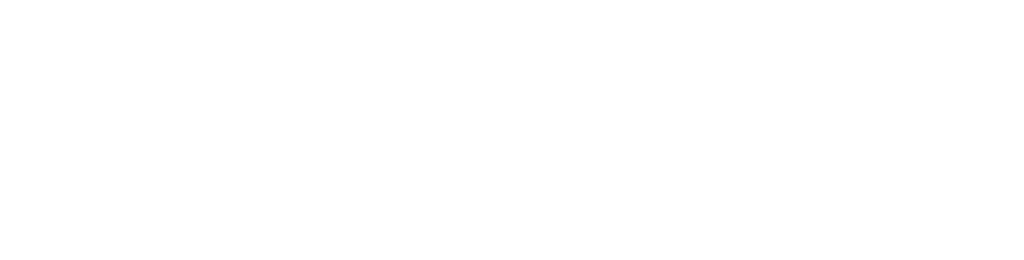 In motion gorilla safaris -