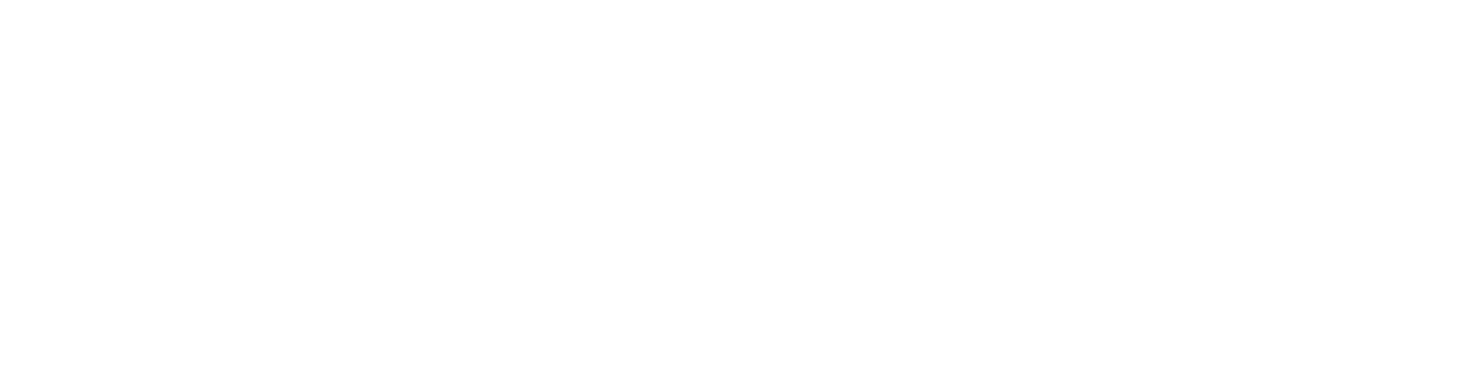 In Motion Gorilla Safaris