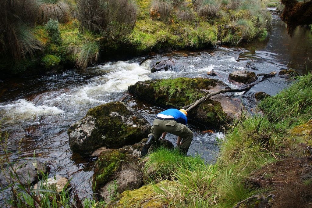 Tourist Attractions in Rwenzori Mountains National Park