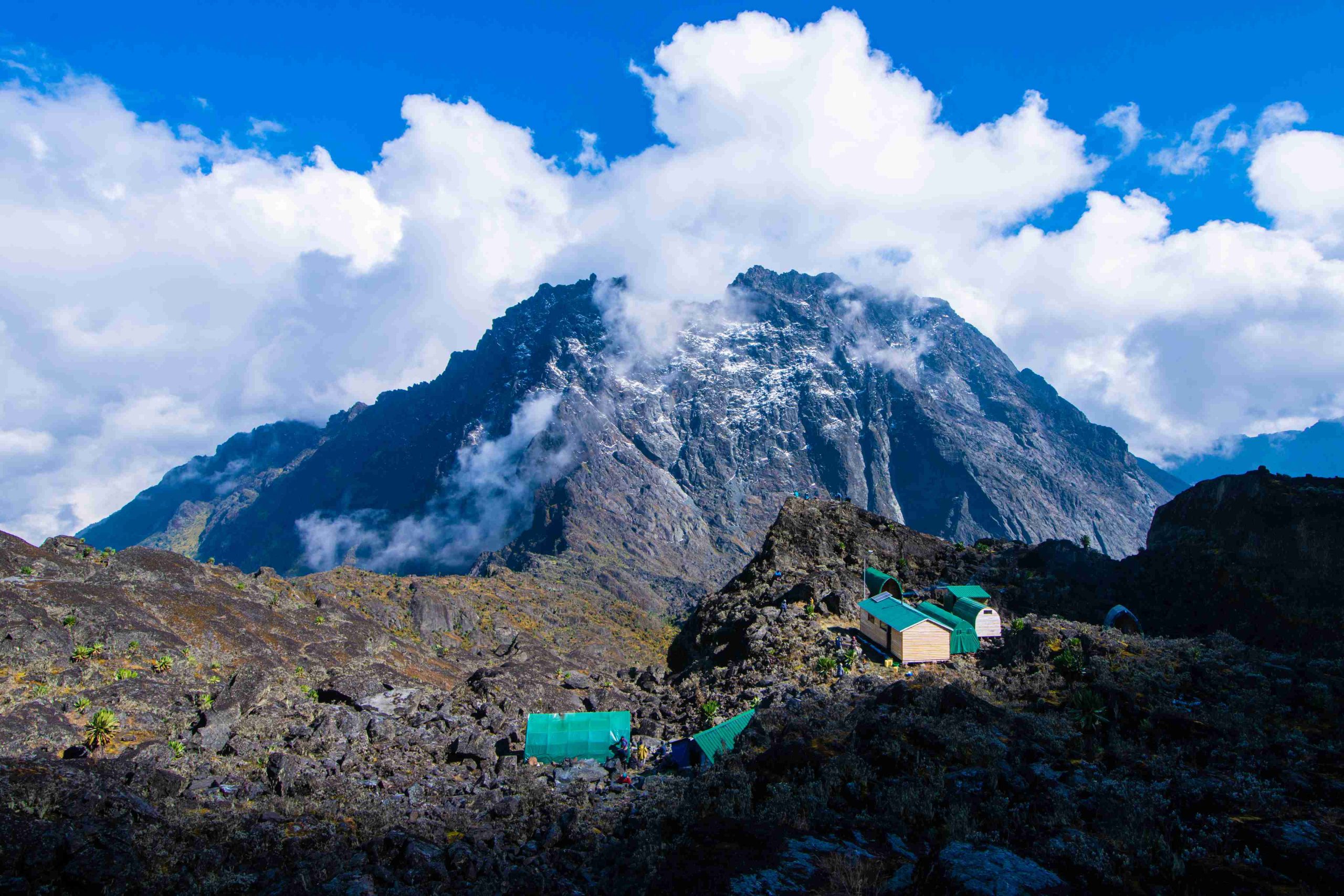 8 Days Rwenzori Bukurungu Trail Trek with Margherita Peak