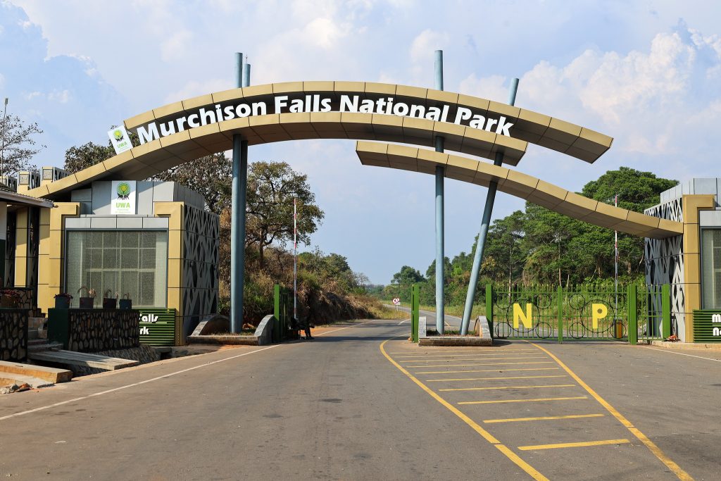 How to Get to the Rwenzori Mountains: Flights, Road Travel & Entry Guide