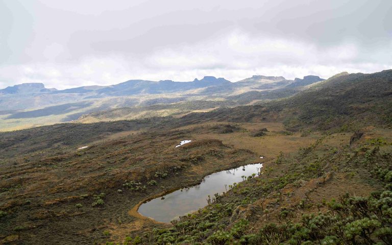 5 Days Rwenzori Mountains Trek – Bujuku Hut Nature Walk
