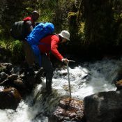 The cost of climbing mountain Rwenzori