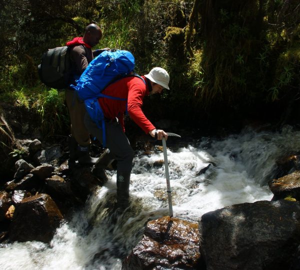 Tailor-Made Safaris
