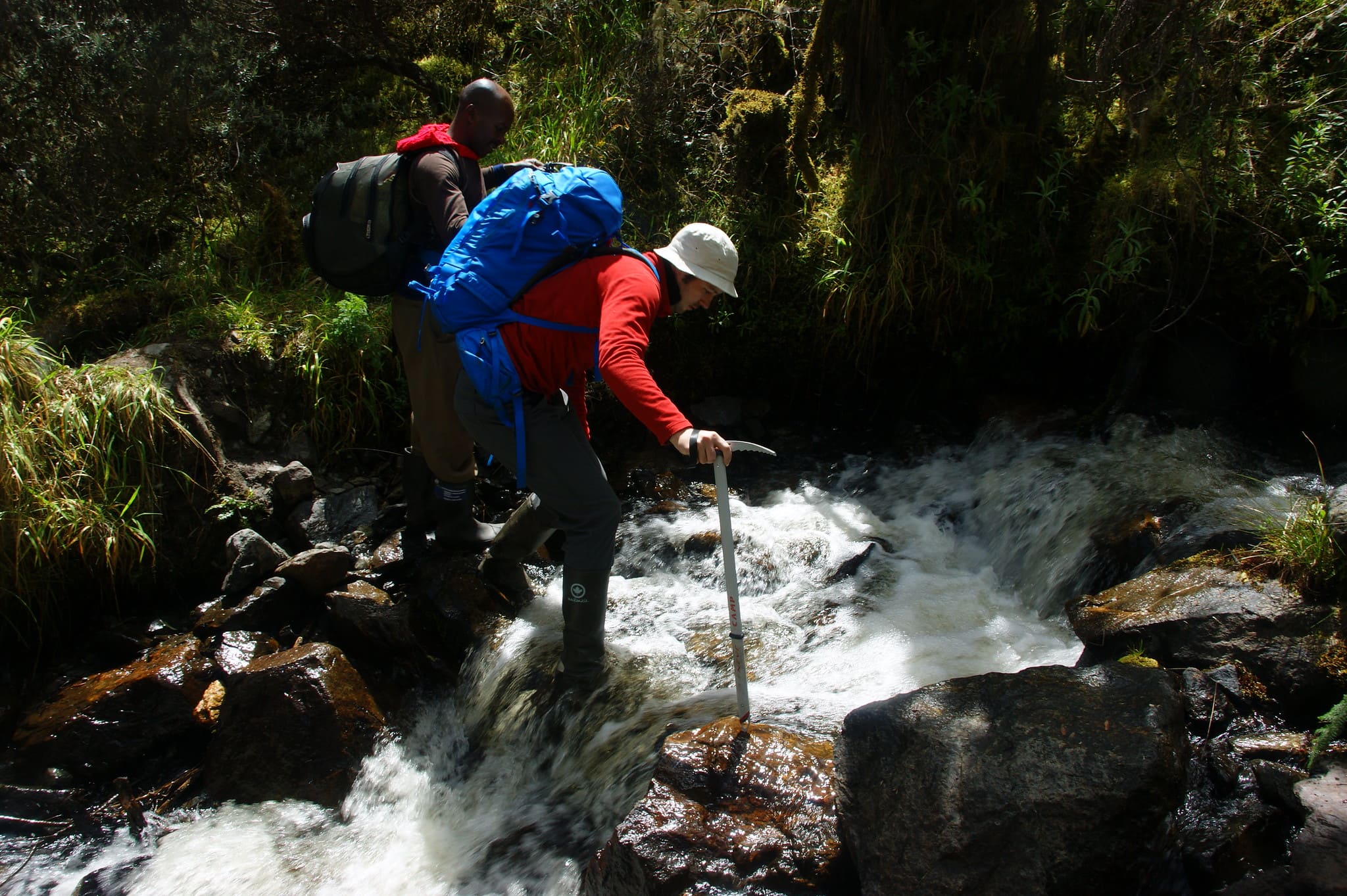 The cost of climbing mountain Rwenzori