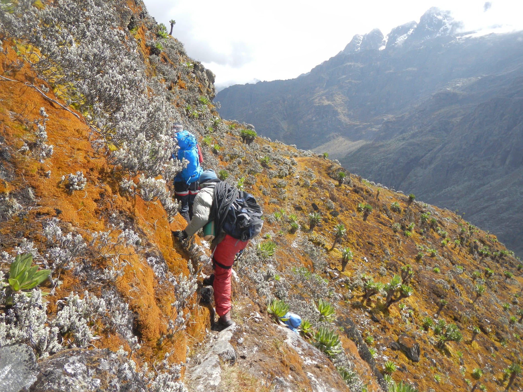 3 Days Rwenzori Mountains Nature Walk to John Matte Camp