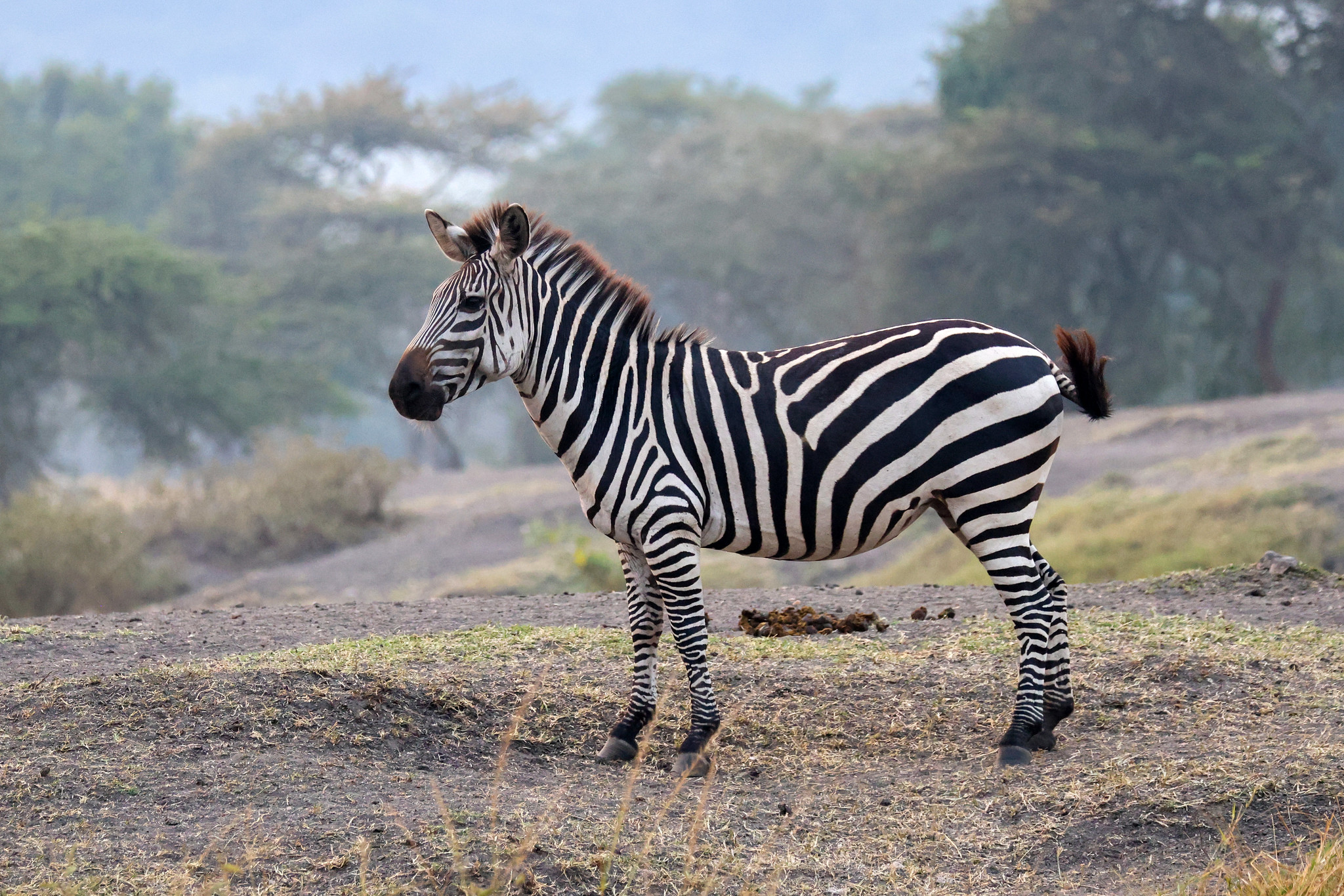 Lake Mburo National Park