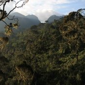 Mount stanley view rwenzori