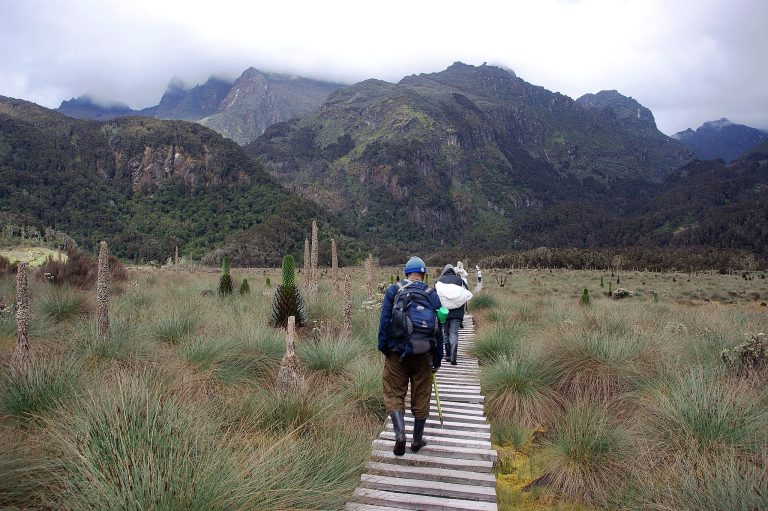 34 Days Rwanda & Uganda Expedition